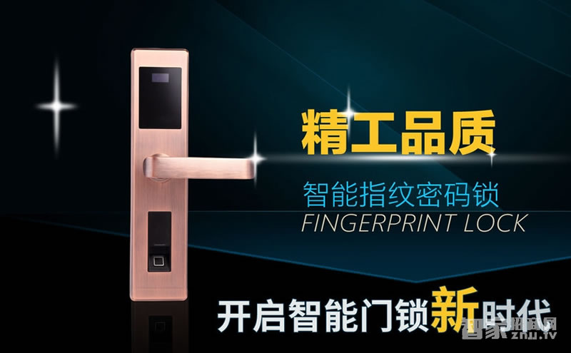 萨菲尔智能锁 APP智能门锁S01 家用防盗门指纹密码锁