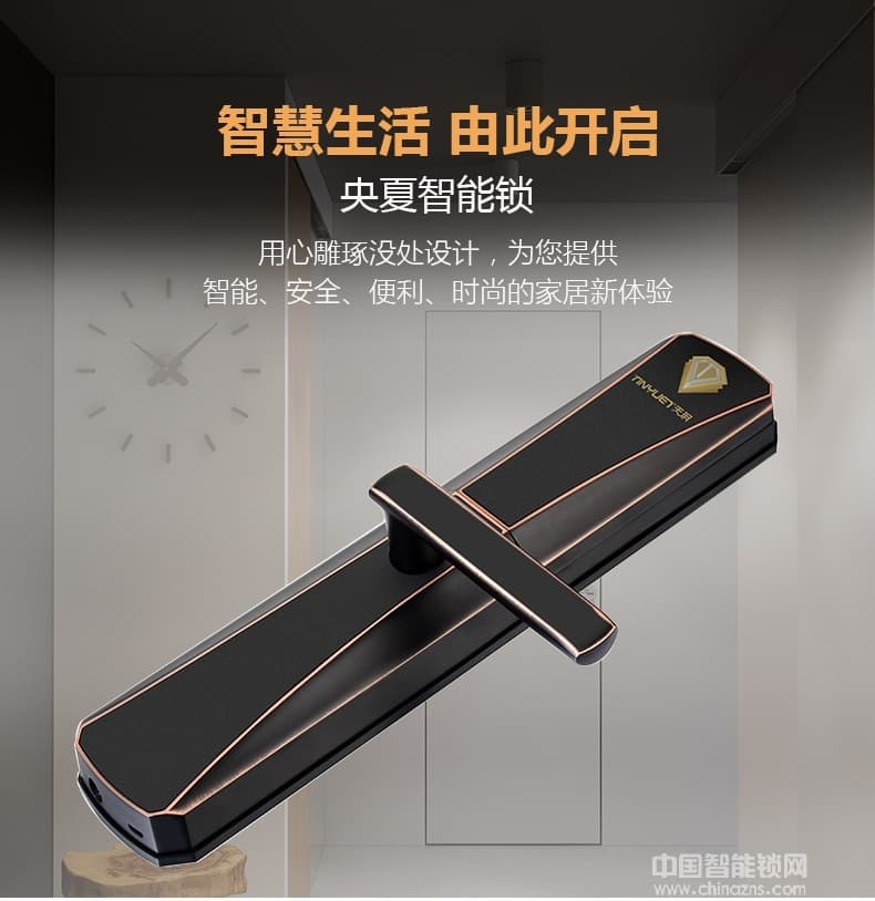 天玥指纹锁 别墅公寓智能锁 刷卡密码锁