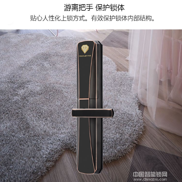 天玥指纹锁 别墅公寓智能锁 刷卡密码锁