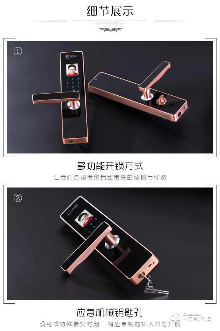 伊派尔人脸识别锁 掌静脉识别锁指纹锁密码锁钥匙锁