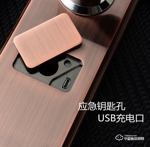 伊派尔指纹锁 人脸识别掌静脉指纹锁家用防盗门锁密码锁智能锁