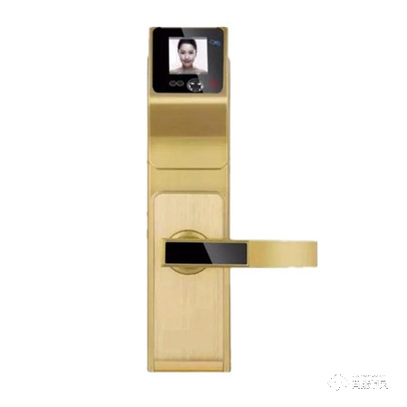 欧瑞佳智能锁 人脸识别锁家用防盗门掌纹识别锁