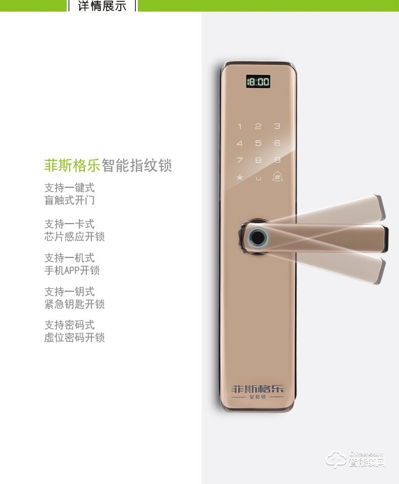 菲斯格乐智能锁 6853家用防盗门智能门锁密码锁
