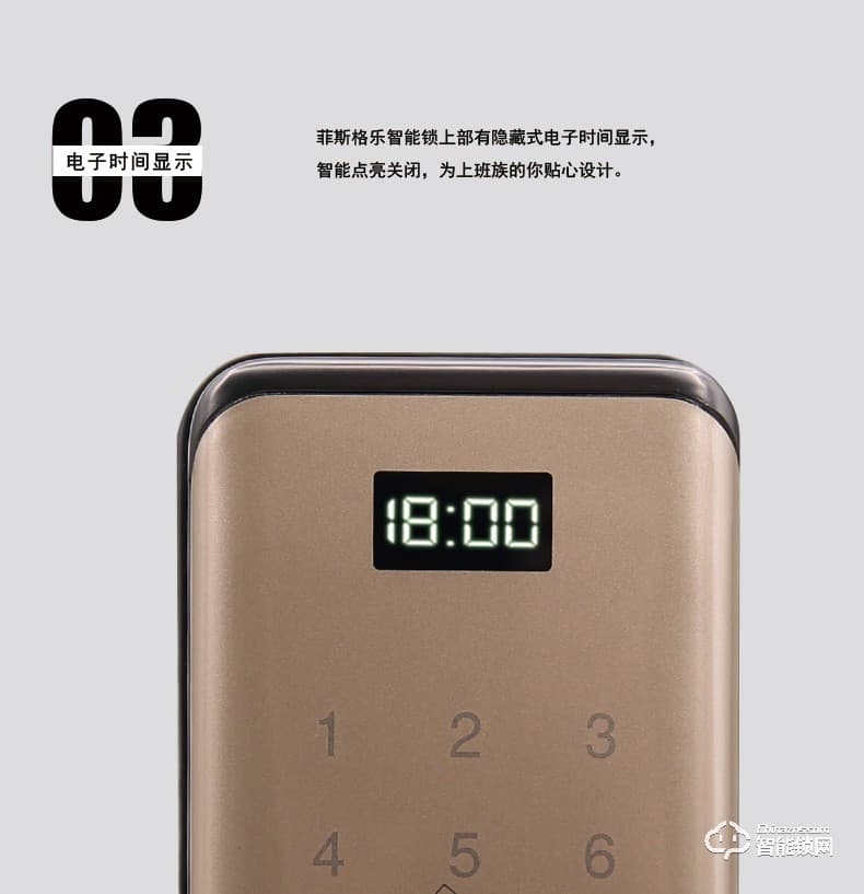 菲斯格乐智能锁 6853家用防盗门智能门锁密码锁