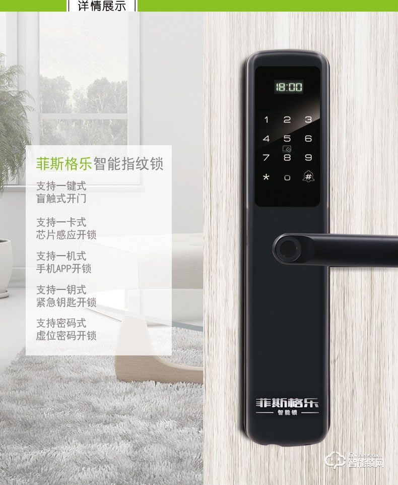 菲斯格乐智能锁 6851家用防盗门智能门锁