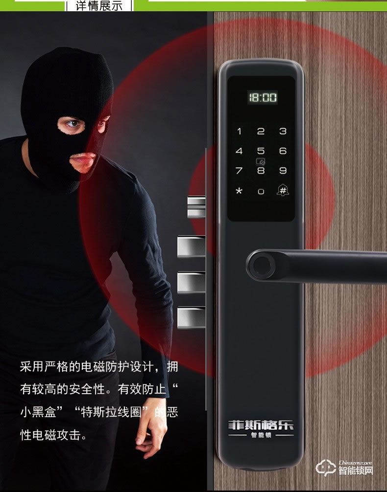菲斯格乐智能锁 6851家用防盗门智能门锁