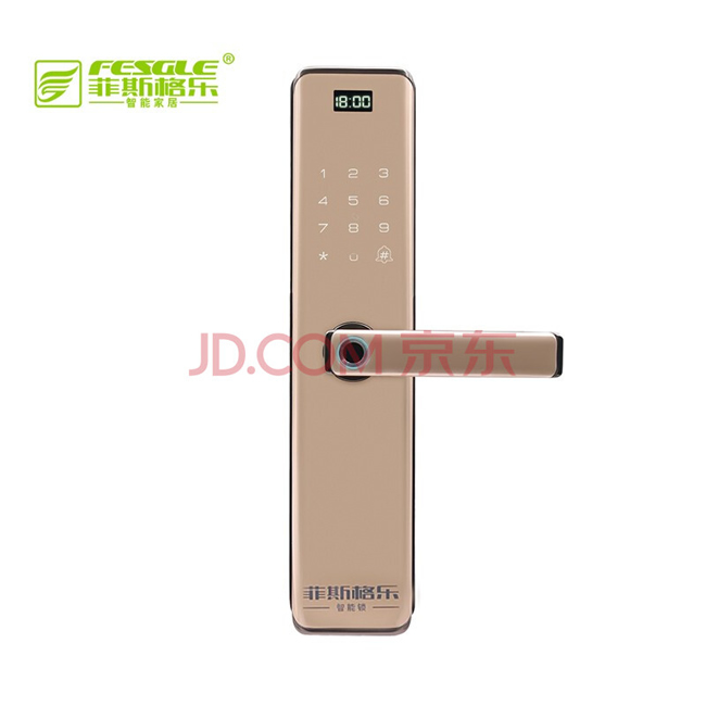 菲斯格乐智能锁 6853家用防盗门智能门锁密码锁